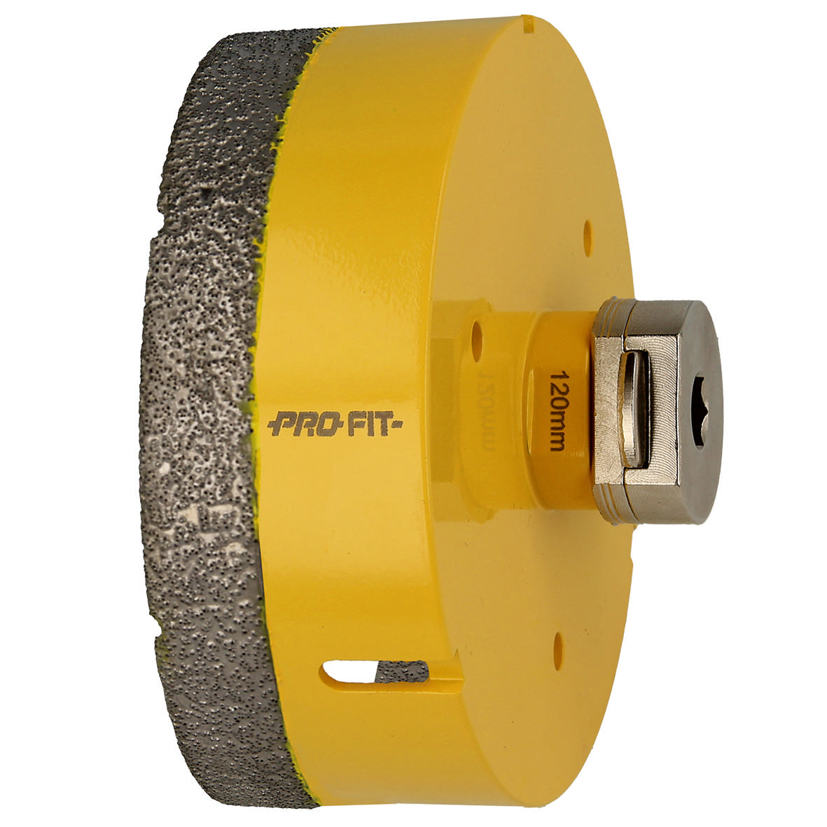 Diamanthulsav 120 × 35 mm