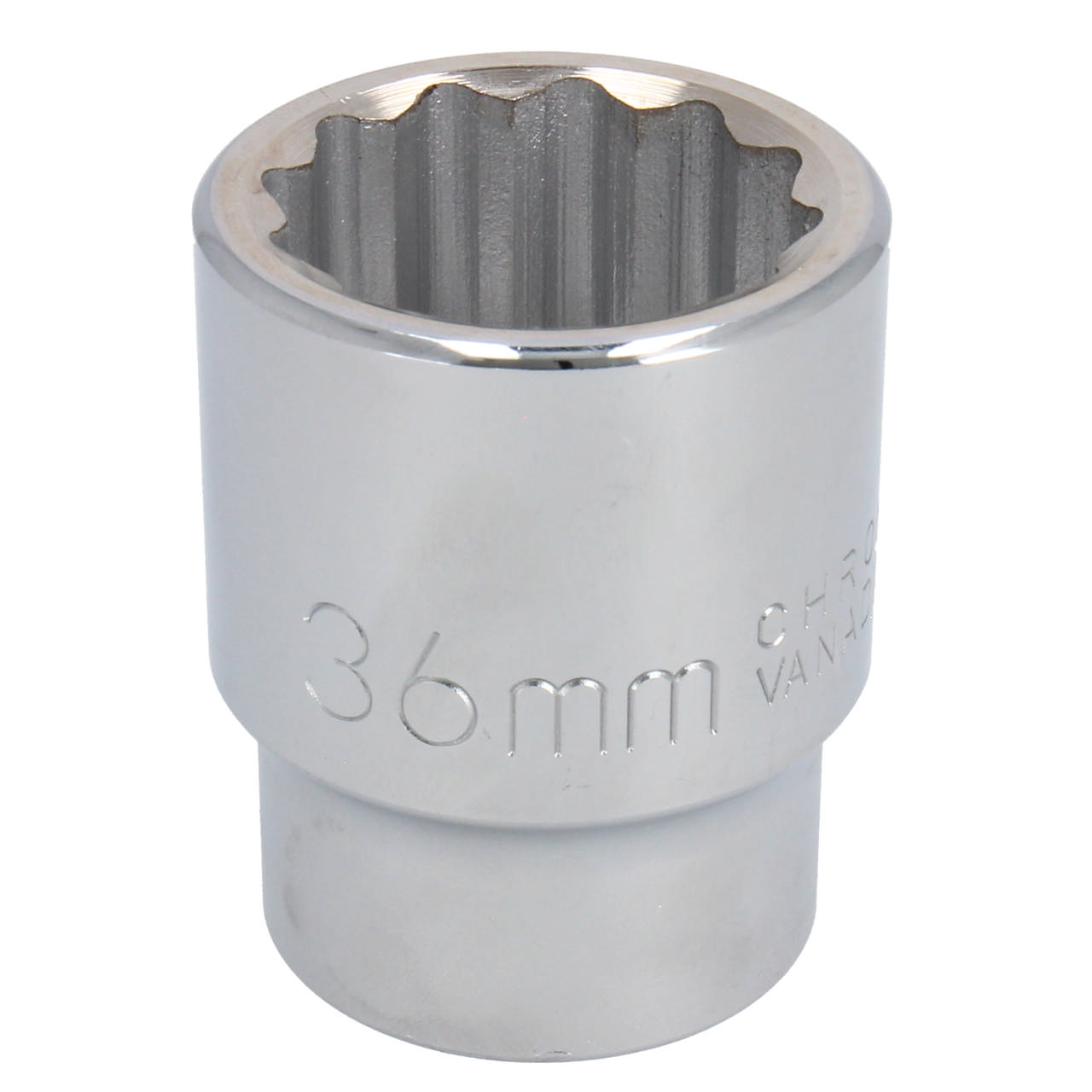 Top, 36 × 65 mm × 1/1