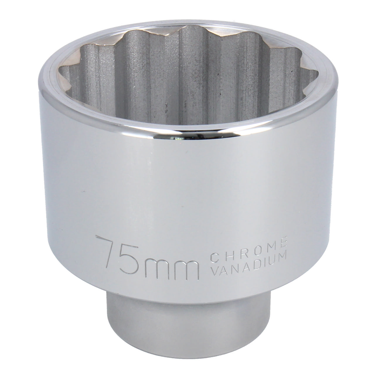 Top, 75 × 95 mm × 1/1